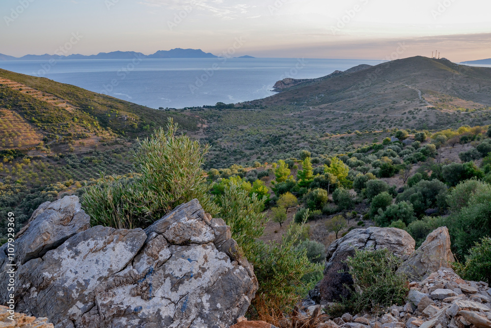 olive and almond trees on the slopes on seaside valley on Mediterranean coast 
Datca peninsula, Turkey