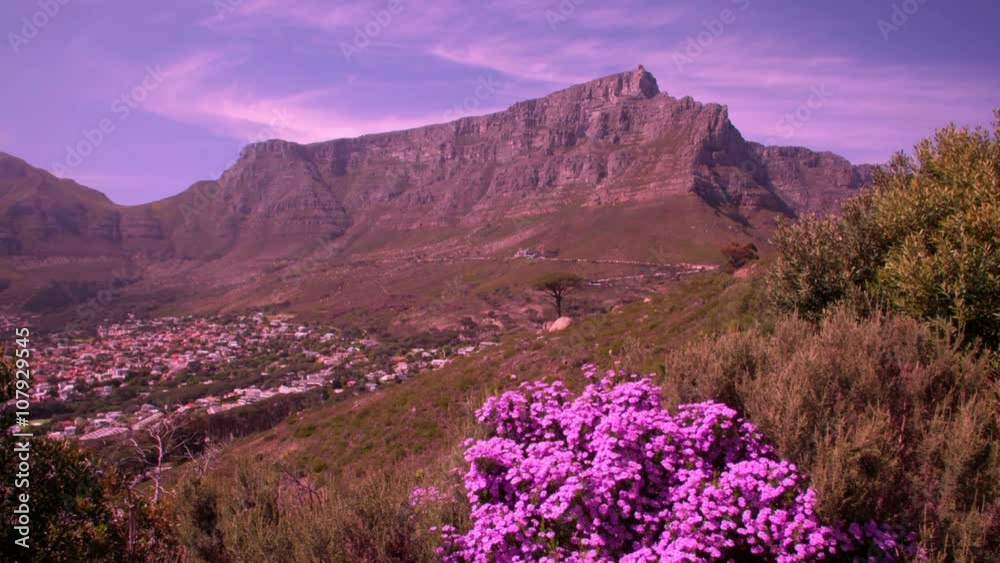Table Mountain, Cape Town, South Africa Table Mountain, Cape Town, South Africa