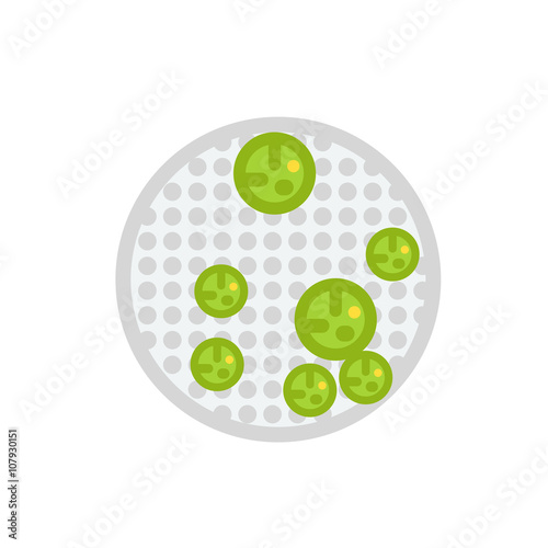 Volvox Vector Icon