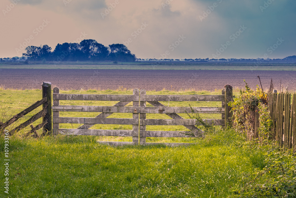 Obraz premium Gate