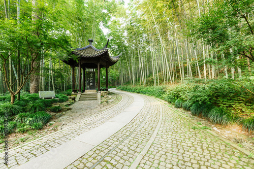 Bamboo forest trail of Hangzhou famous scenic , in China