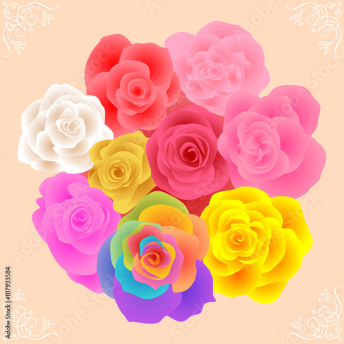 All Rose Flowers