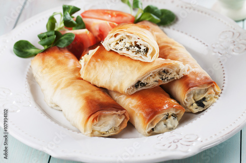 Pita zeljanica, balkans phyllo pastry photo