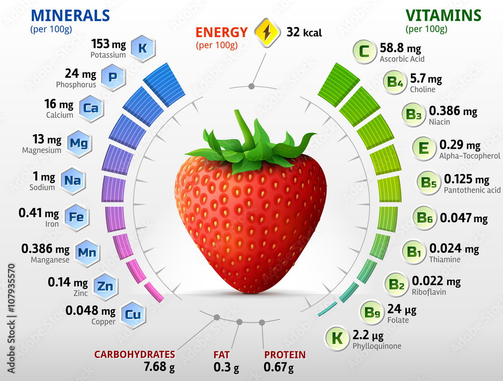 Vitamins and minerals of garden strawberry. Infographics about