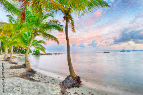 Anse Chamapgne photo