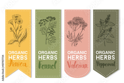 Organic herbs label of arnica fennel valerian peppermint photo