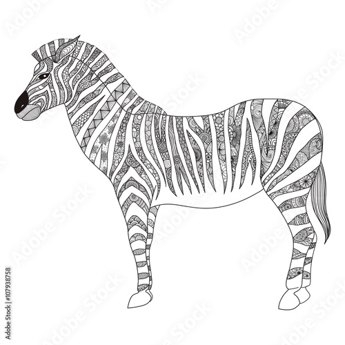 Zebra zentangle stylized for T- Shirt design, sign, poster, coloring book for adult and design element