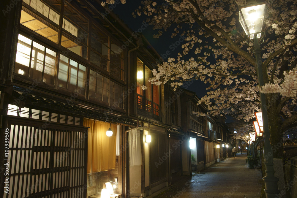 金沢　主計町の夜桜