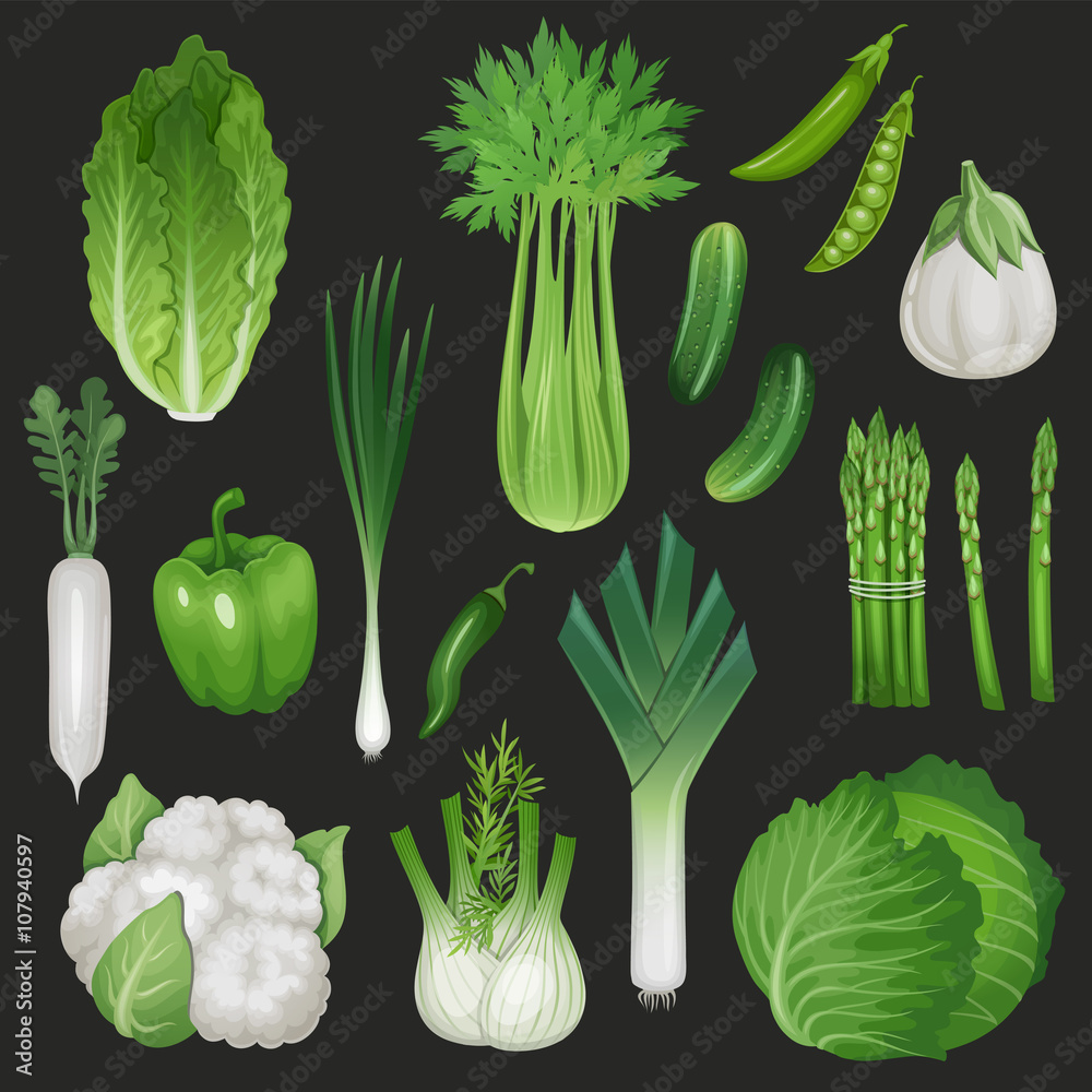 Set of fresh green vegetables. Healthy food vector illustration.
Set of fresh green vegetables. Healthy food vector illustration.