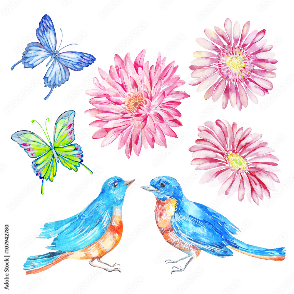 Obraz premium Butterfly, bird, flowers. Watercolor isolated object.