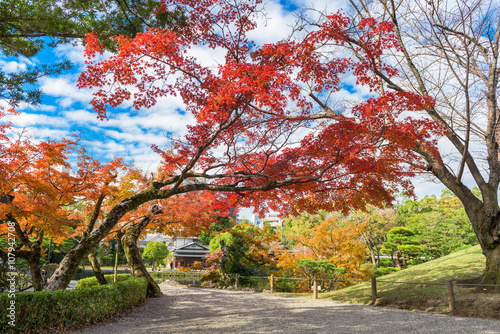 Kumamoto  Japan gardens in autumn.
