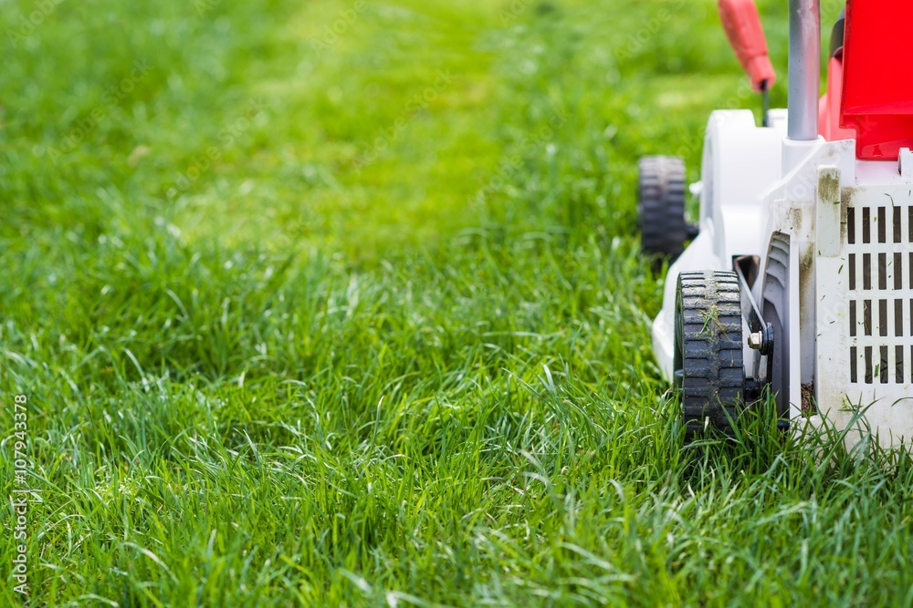 Lawn mower cutting green grass in garden.