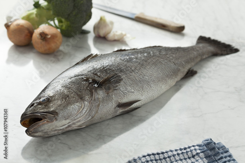  Fresh raw corvina fish photo