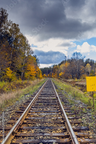 Railway Tracks in Remote Landscape Wilderness