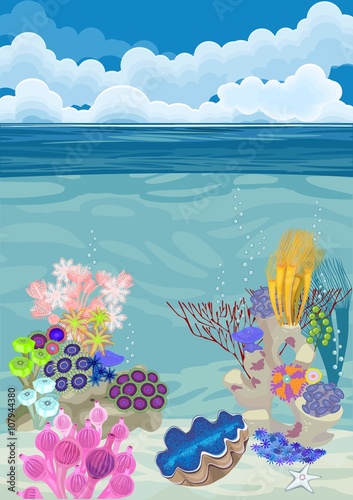 underwater landscape with different corals and tridacna