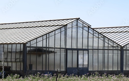Plastic greenhouse