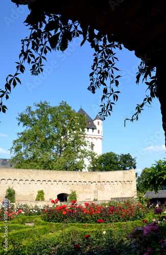 Eltville im Rheingau - Kurfürstliche Burg photo