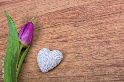 Violet tulip and heart on a wooden background