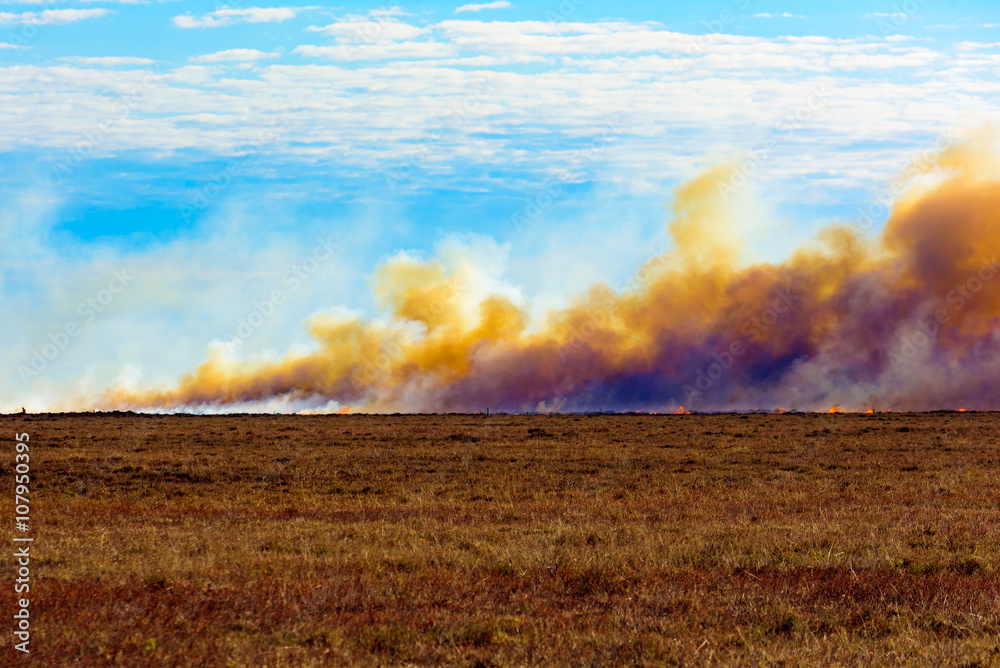 The deliberate and controlled burning of heather on a moor. The rising smoke is chokingly dense and yellow, mixed with white water vapor and black soot. Small people visible near the smoke.