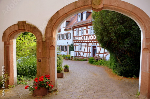 Eltville im Rheingau - Fachwerkhäuser in der historischen Altstadt photo