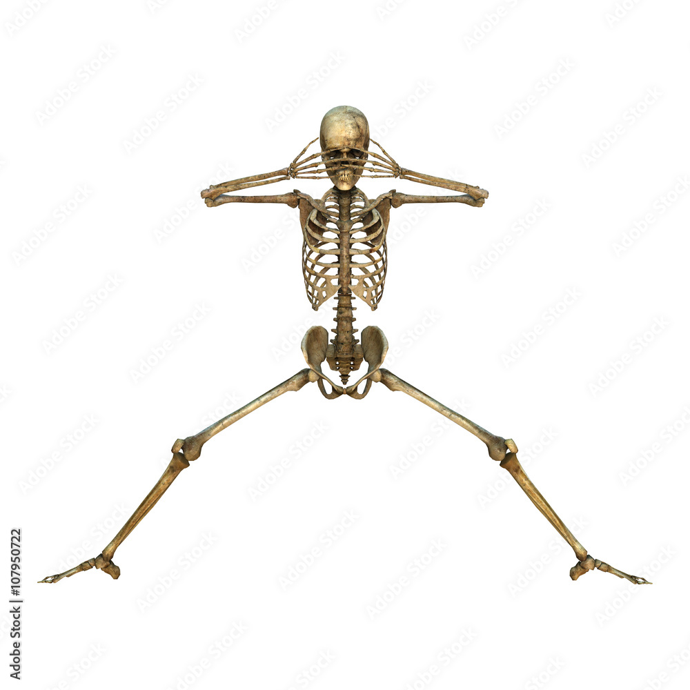 3D Illustration Human Skeleton on White 3D Illustration Human Skeleton on White