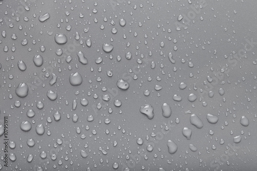 Dops of water on a color background. Gray