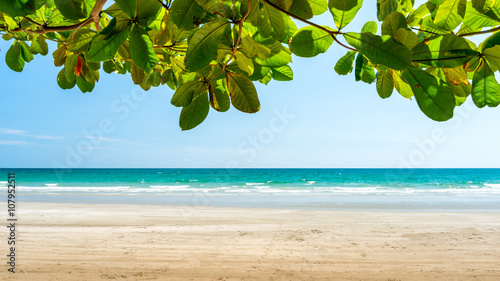 Fototapeta Naklejka Na Ścianę i Meble -  Sea beach or ocean background