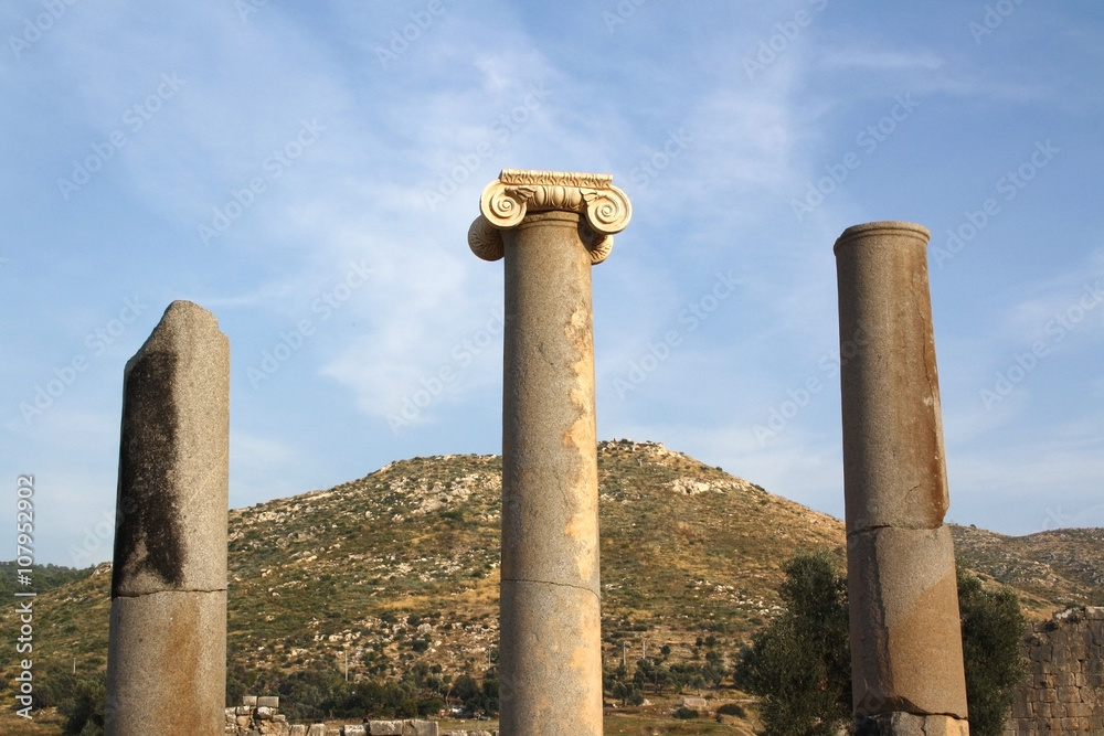 Ancient Greek columns against a blue sky and mountains