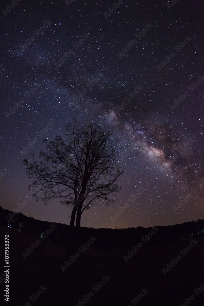Silhouette of Tree and Milky Way. Long exposure photograph.With