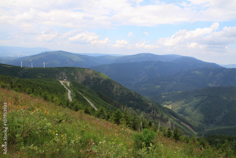 Naklejka premium jeseniky mountains nature