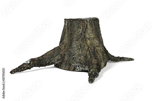 3d render of old stump