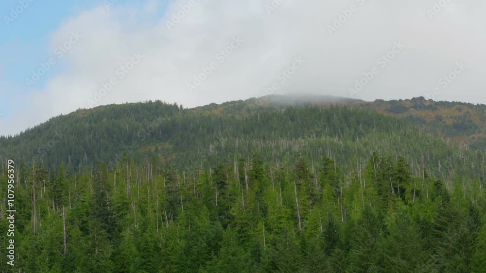 Ketchikan Alaska Mountain Forest Time Lapse Ketchikan Alaska Mountain Forest Time Lapse