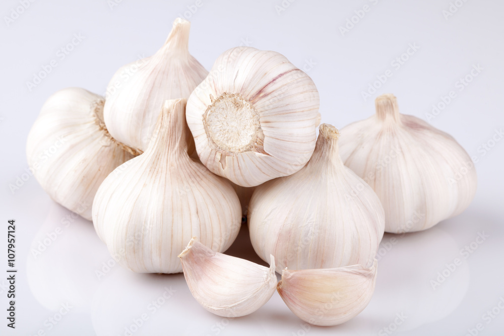 garlic on white background garlic on white background