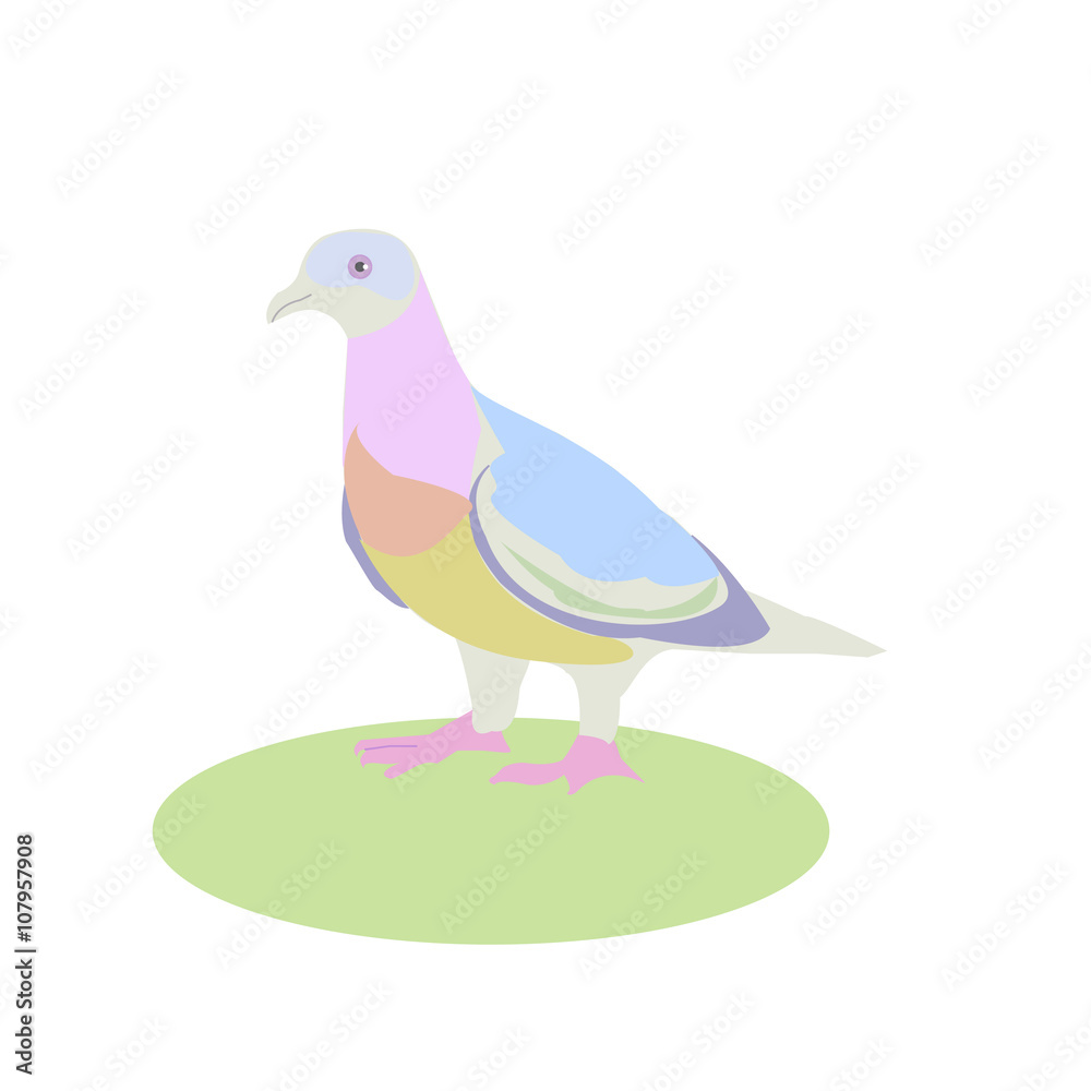Fototapeta premium dove, vector illustration, bird living next to a man