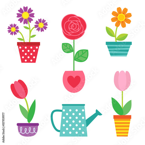 Vector set of flowers in pots and watering can