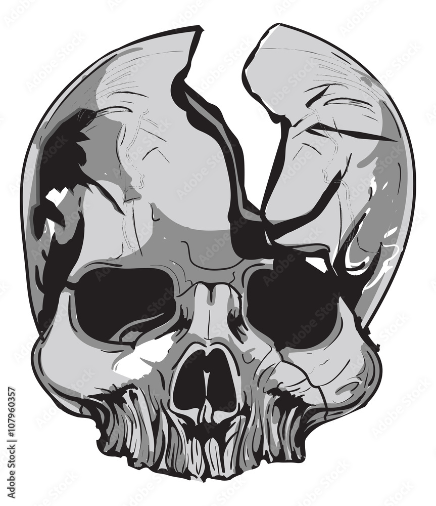 Fototapeta premium human skull Biology - vector