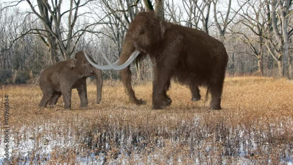 Video Stock An animation of a Woolly Mammoth and child in an Ice Age ...