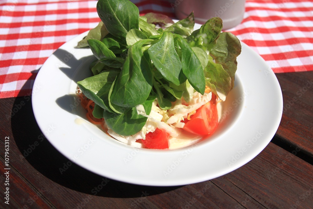Lunch in the garden, spring salad witah, tomato, rucola, carrots, apium Lunch in the garden, spring salad witah, tomato, rucola, carrots, apium