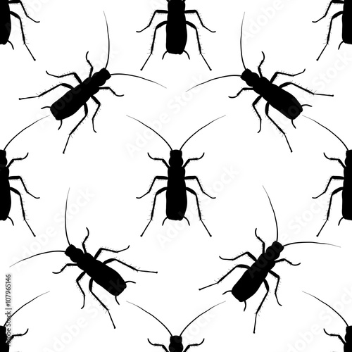 Seamless pattern with cockroach. blattella germanica   hand-drawn cockroach. Vector © evgdemidova