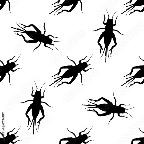 Seamless pattern with cricket or grig. Gryllus campestris.    hand-drawn cricket. grig. . Vector © evgdemidova