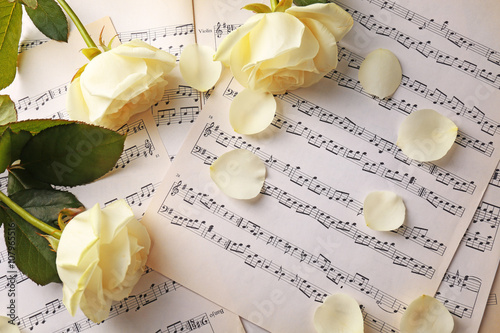 Beautiful rose on music she...