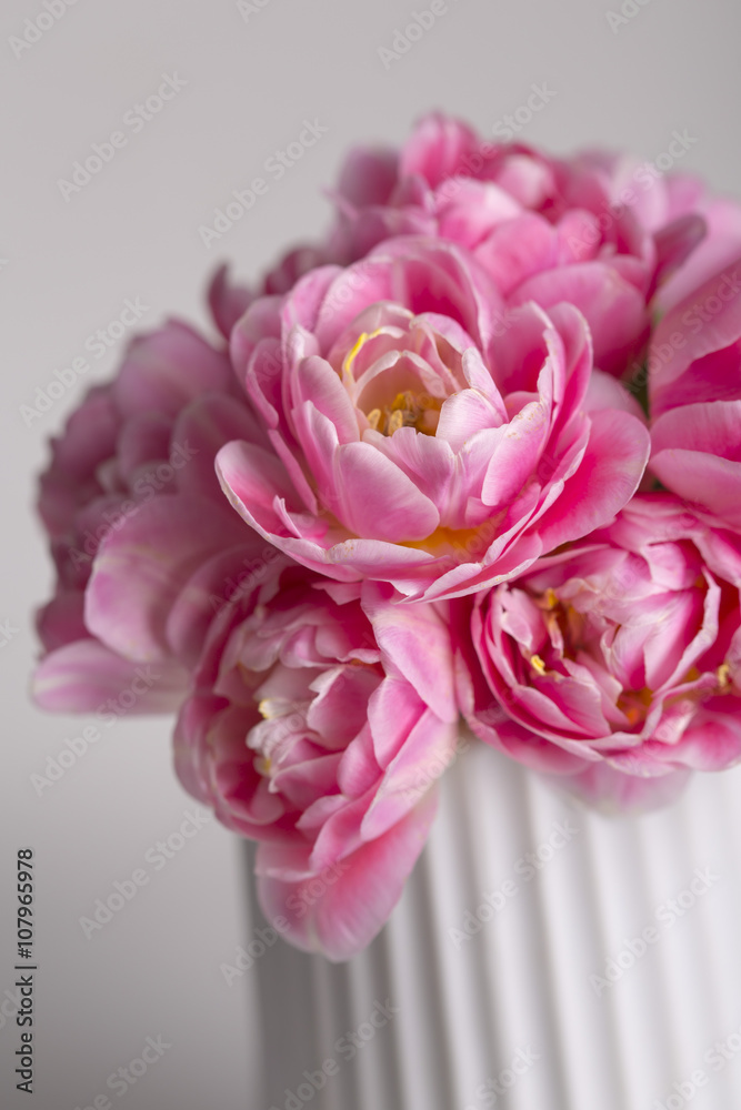 Pink tulip flowers on a white pot on a grey background
