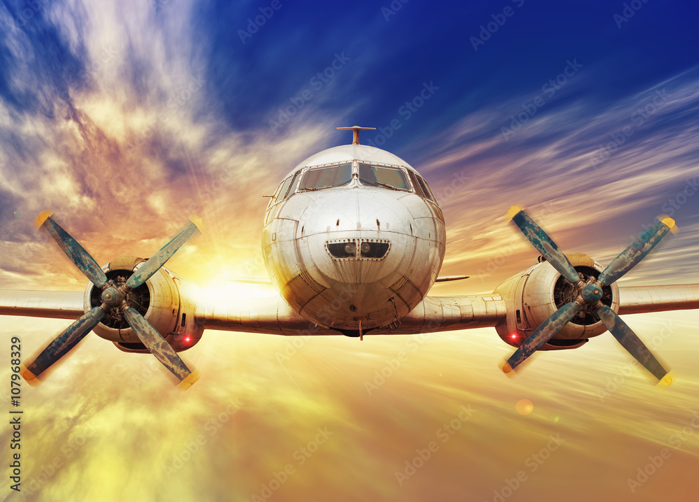 Fototapeta premium airplane in the sunset