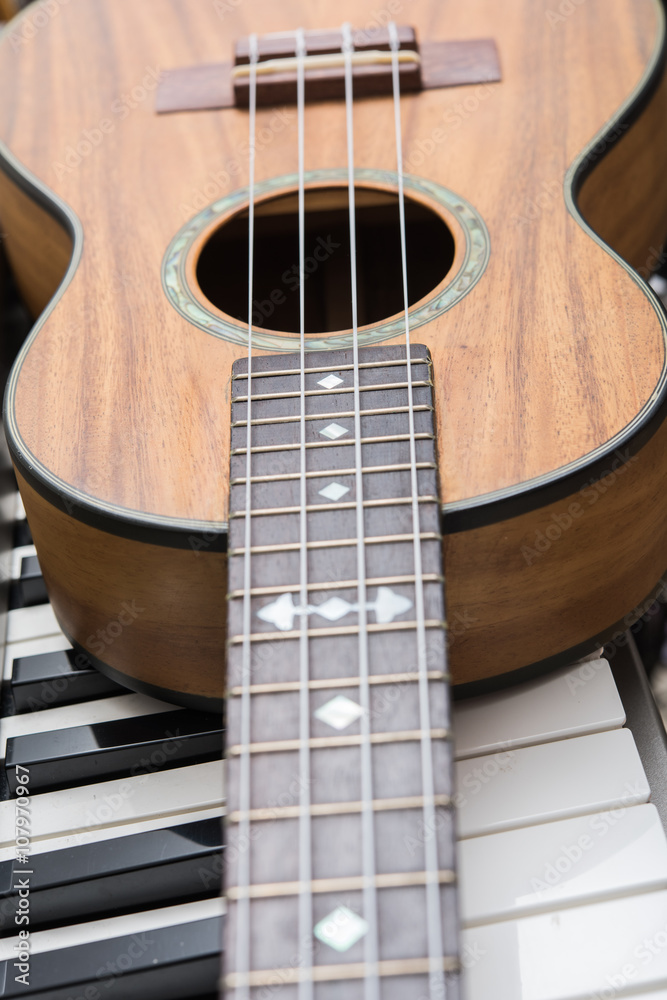 Obraz premium Ukulele