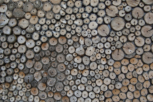 wooden background. wooden rounds nailed to wall