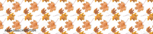 panorama header  pattern  repeat maple leaf autumn