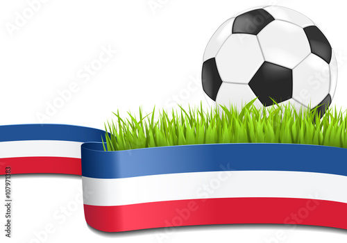 Fussball auf Rasen mit französischer Banderole