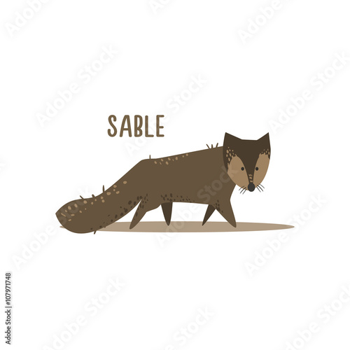 Sable Vector Illustration
