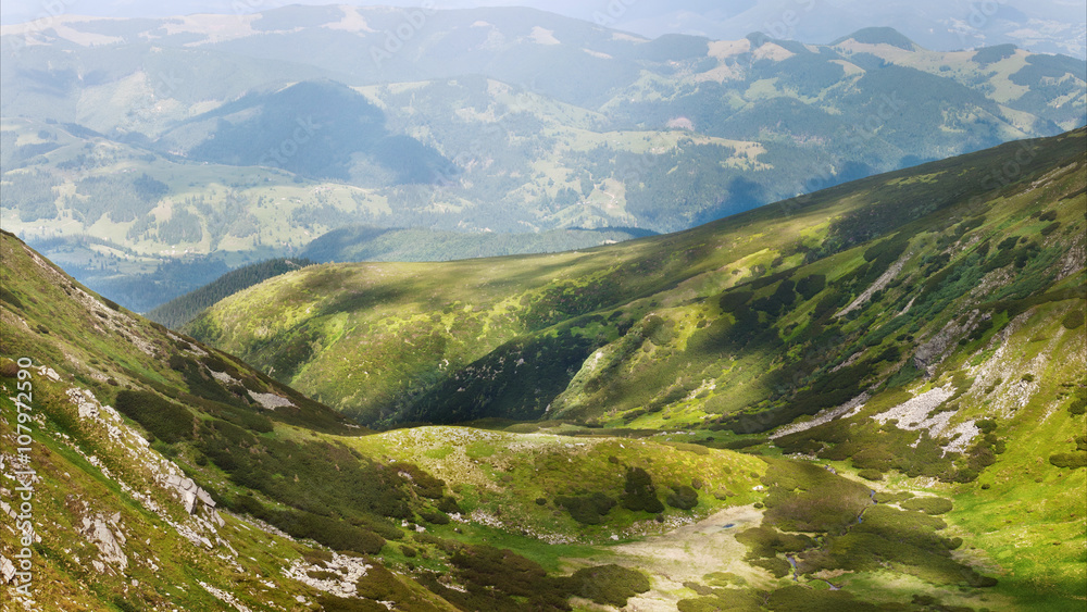 Fototapeta premium The slopes of the Carpathian Mountains. The landscape of green hills.