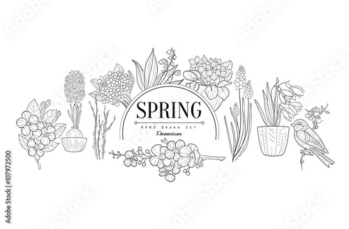 Spring Set Vintage Sketch